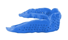 SISU 1.6 Mouthguard