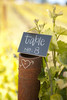 Chalkboard Place Cards